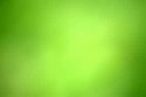 充滿活力的綠色漸變背景，帶有柔和光線和細微紋理。 — 綠色動態圖 壁紙