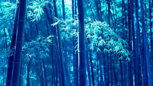 寧靜藍色森林中的高大竹莖與斑駁光線。