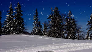 晴朗藍天下，積雪覆蓋的樹木，雪花飄落。 — 冬日美學 壁紙
