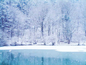 白雪覆蓋的樹木和冰凍的湖面，雪花飄落