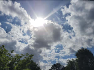 陽光穿過雲層，下方可見樹梢
