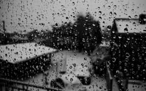 窗戶上的雨滴，背景是灰階模糊的屋頂和樹木。