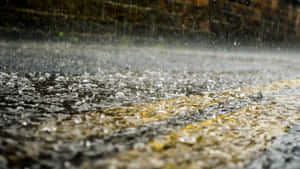 雨滴打在濕漉漉的瀝青路上，有黃線