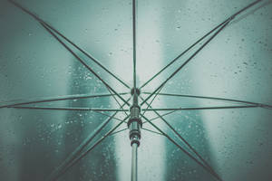 從透明雨傘下方觀看，傘面上有雨滴。