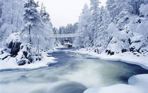 白雪覆蓋的森林，冬日裡有流動的河流和木橋。