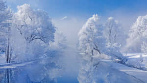 白雪覆蓋的樹木在清澈的藍天下倒映在結冰的河流中。