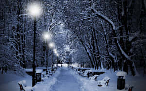 夜晚積雪的公園小徑，發光的街燈和積雪的長椅。