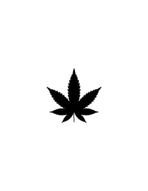 白色背景上的黑色大麻葉圖標
