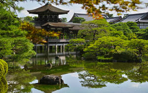 傳統日本庭園，亭閣與水面倒影被綠樹環繞。