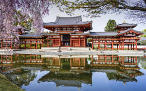 紅色木造寺廟，彎曲屋頂，倒映在池塘中，櫻花盛開。