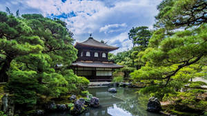 日本寺廟亭閣，周圍環繞著松樹和倒映池塘。