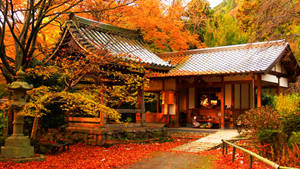 秋天的日本寺廟，地上有紅葉，周圍有橙色的樹木。