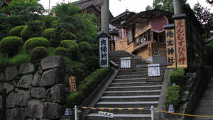 通往日本神社的石階，周圍是茂密的綠植和石牆。