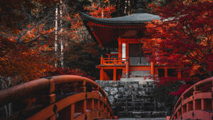 紅色日本神社，周圍環繞著充滿活力的秋葉和一座木橋。