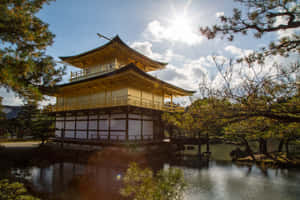 金色寺廟亭閣被水和松樹環繞，在明亮的陽光下。 — 日本 壁紙