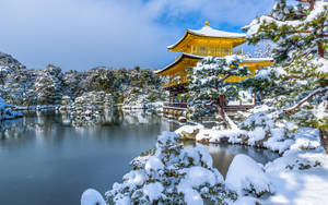 白雪覆蓋的金色寺廟亭閣旁邊有一個寧靜的冬日湖泊。