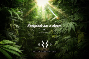 陽光透過高大的大麻植物，帶有鼓舞人心的文字疊加。