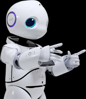 人形機器人指揮示意