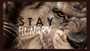 獅子的臉部疊加「STAY HUNGRY」字樣。