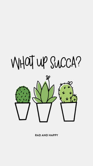 三個盆栽卡通仙人掌，帶有「WHAT UP SUCCA？」文字，下方有「RAD AND HAPPY」。