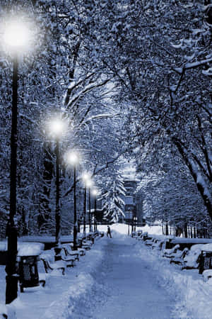 夜晚積雪的公園小徑，發光的街燈和孤獨的步行者。