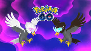 兩隻寶可夢老鷹擺出戰鬥姿勢，上方有 Pokémon GO 標誌。
