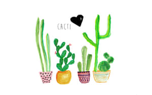 五盆仙人掌插圖，配有彩色圖案花盆，以及「cacti」字樣上方有一個黑色心形。