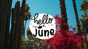 Hello June 文字圖案，周圍環繞著紅色花朵和棕櫚樹，背景是藍天
