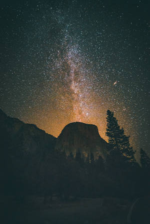 銀河系在夜間與星星和樹木一起拱起在酋長岩山上。 — 星星 壁紙