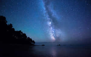 銀河系在寧靜的海灘上空，夜晚樹木的剪影。 — 銀河系 壁紙