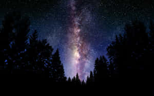 銀河系在繁星點點的夜空下，在黑暗的松林剪影上方拱起。