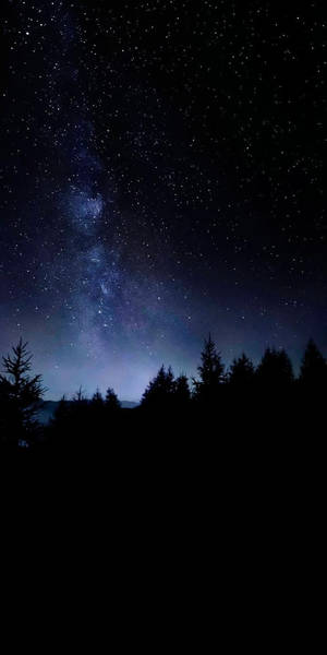 銀河系在夜晚的黑暗森林上方閃耀。 — 夜空 壁紙