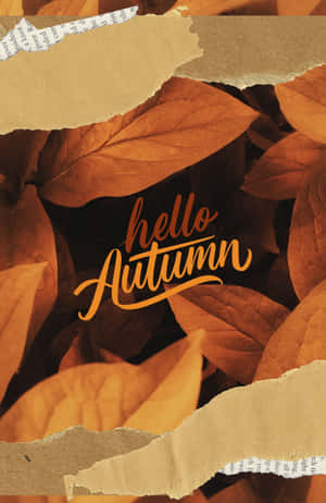 撕破的紙張顯露出秋葉和「hello Autumn」文字。