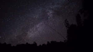 銀河系在夜間照耀在黑暗的森林之上。 — 夜空 壁紙