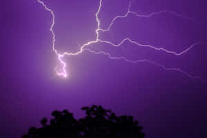 紫色暴風雨天空，明亮的閃電和樹木剪影 — 深紫色美學 GIF 壁紙