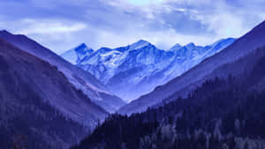 在暮色天空下，積雪的山峰從森林覆蓋的山谷中升起。