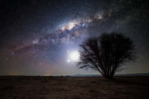 一棵孤樹映襯著滿天星斗的夜空，有銀河和月亮。 — 夜空 壁紙