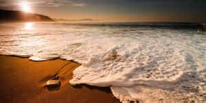 夕陽海浪沖刷金色沙灘，帶有泡沫白色浪尖。