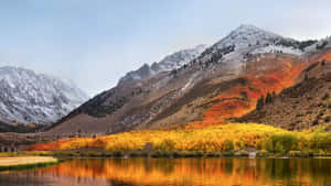 積雪的山峰後面，秋天的樹木在平靜的湖面上倒映。