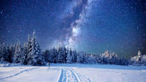 繁星夜空下的積雪森林，銀河與足跡。