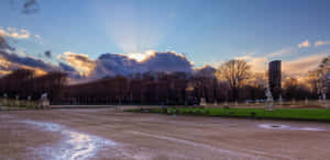 公園上的夕陽，雕像和裸樹投下長長的影子。