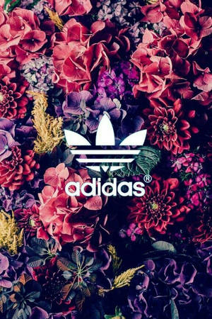 adidas標誌位於密集的粉紅色、紫色和金色花卉背景中央。