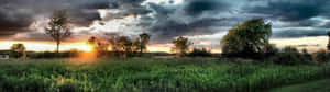 暴風雲層後的夕陽，映照在長滿草的原野上，樹木零星分佈。
