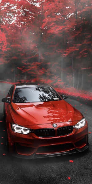紅色BMW跑車行駛在深紅色秋樹與薄霧環繞的林間道路上。