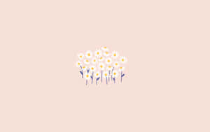 蜜桃色背景上，白色花瓣和黃色花心的雛菊簇。