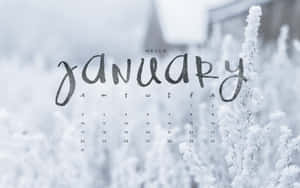 一月日曆，冬日雪景中有霜凍的樹枝。