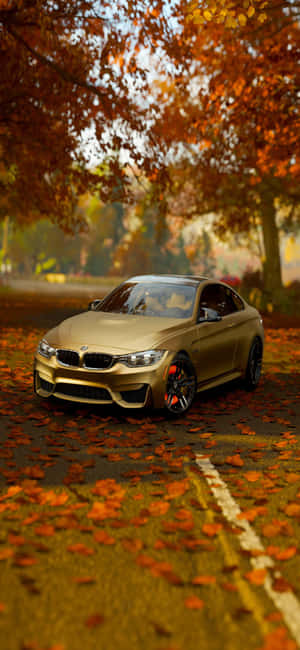金色寶馬雙門跑車停泊在秋日樹下，路上散落著落葉。