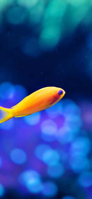 一條明亮的黃色魚在藍色水下環境中游泳，周圍有發光的燈光。
