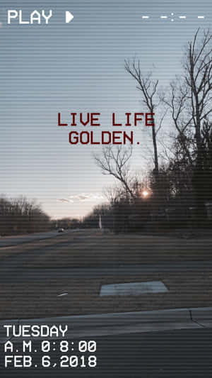 黎明時分，顆粒狀的公路場景，有光禿禿的樹木和文字疊加，寫著「live life golden」。