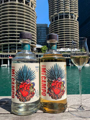 碼頭上的兩瓶龍舌蘭酒和一個酒杯，螺旋建築和水。